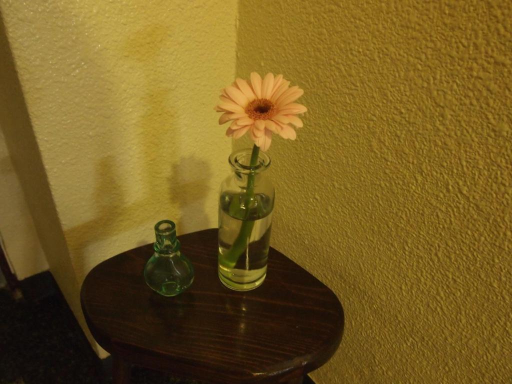 Ishigaki  Ishigakijima Hotel Olive מראה חיצוני תמונה
